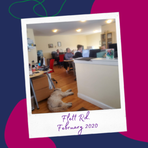 Inera staff work in a well-lit open-plan office, with Timo the goldendoodle napping in the foreground