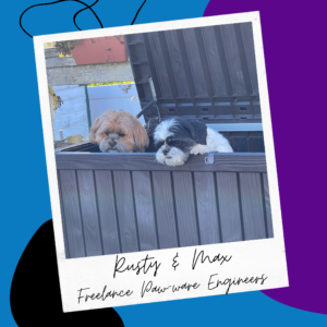 Two small dogs, one light brown, one black and white, peer over the side of a large wooden crate. Caption reads "Rusty & Max, Freelance Paw-ware Engineers."